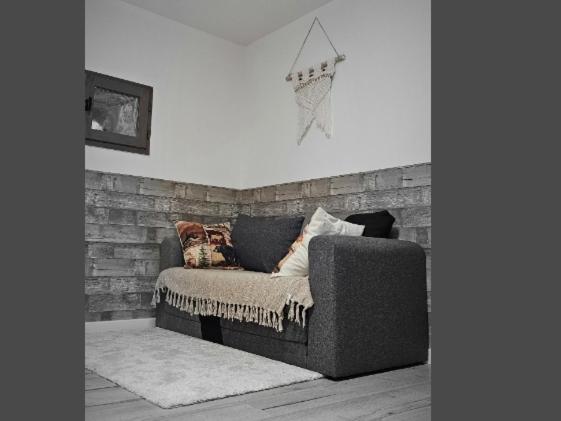 Le Petit Erable Apartment Blavozy
